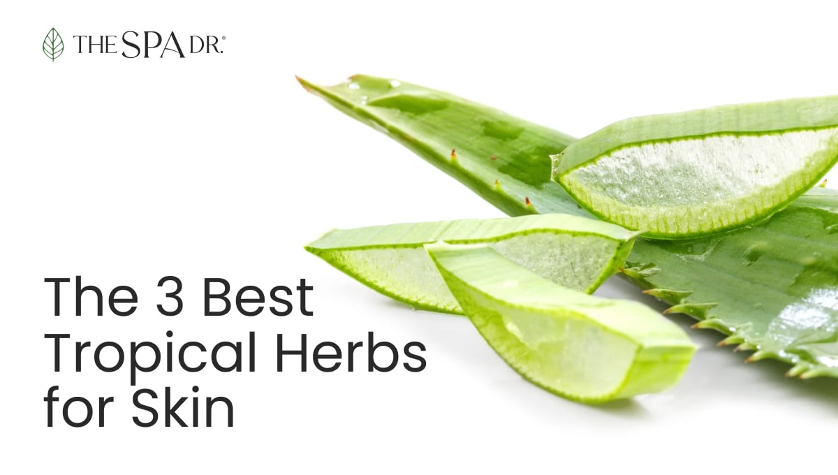 Best Topical Herbs for Skin