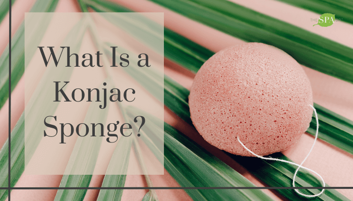 What Is a Konjac Sponge?