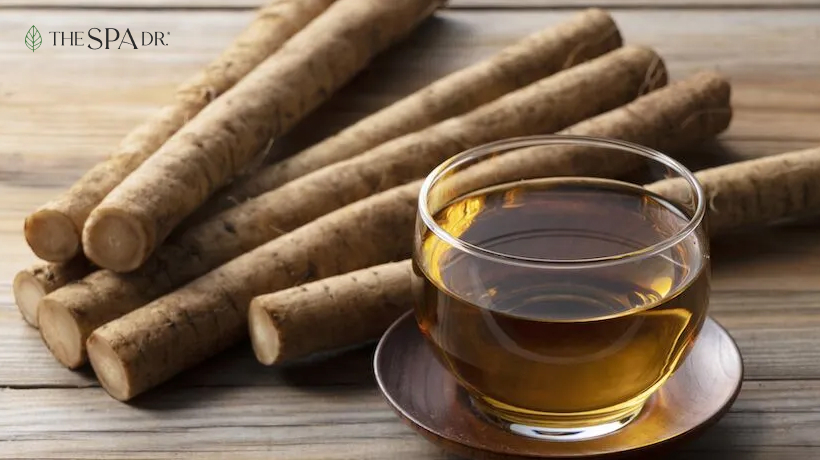 Burdock Root tea