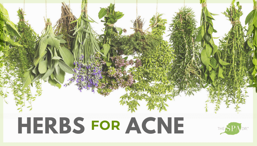 Herbs For Acne