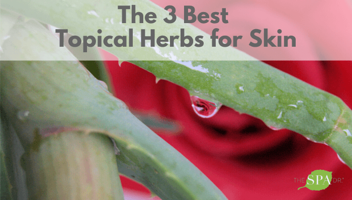 The 3 Best Topical Herbs for Skin